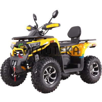 Квадроцикл MotoLand (Мотолэнд) VOX250 WILD TRACK X PLUS жёлтый (машинокоемплект) Квадроцикл MotoLand (Мотолэнд) VOX250 WILD TRACK X PLUS жёлтый (машинокоемплект)